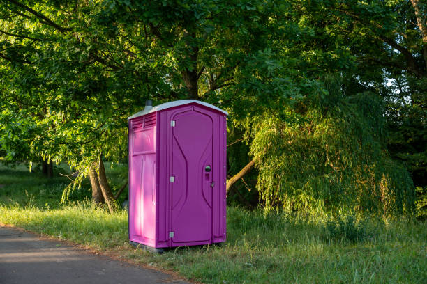 Portable Toilet Options We Offer in Donora, PA
